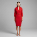 Women's Sheath Dress V Neck Belted Midi Office